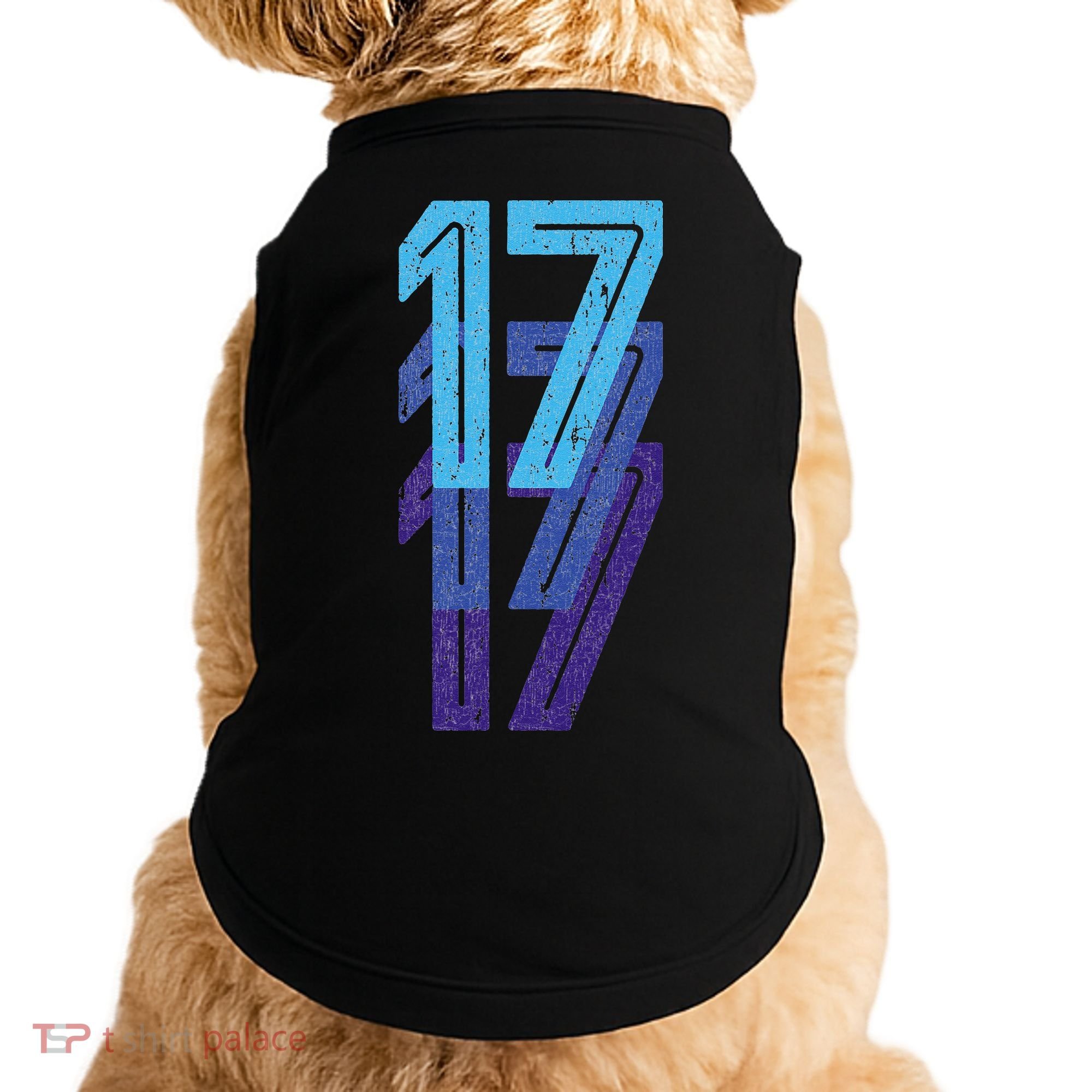 17 Lucky Number 17th Year Birthday Age Sports Team Doggie Tank