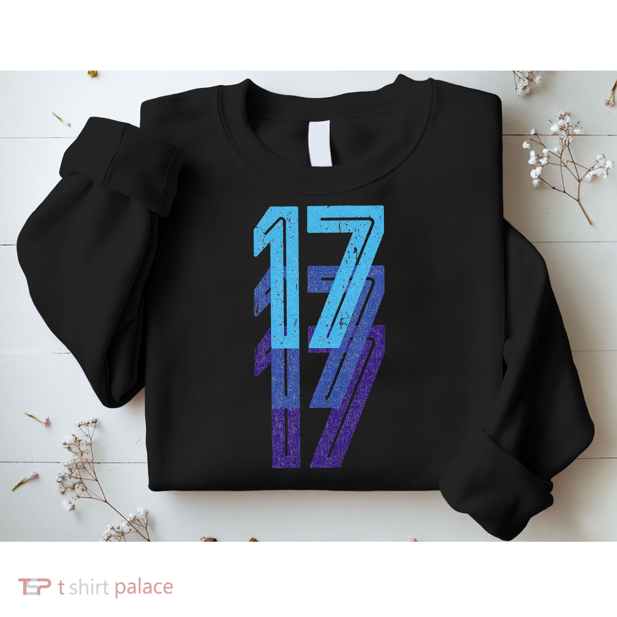 17 Lucky Number 17th Year Birthday Age Sports Team Sweatshirt