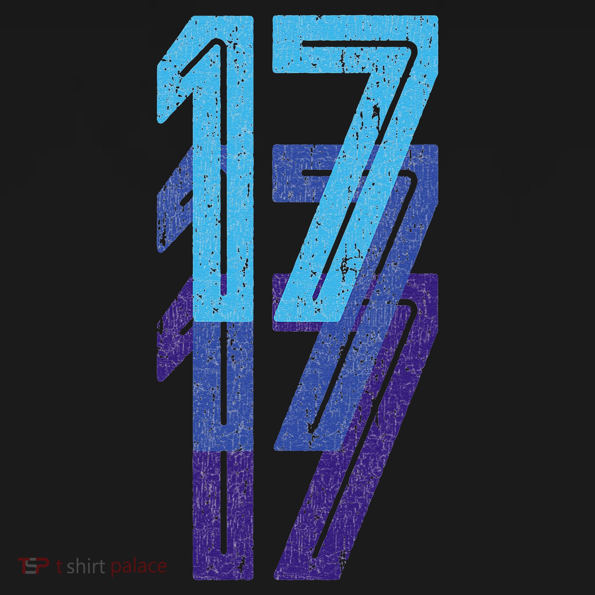 17 Lucky Number 17th Year Birthday Age Sports Team T-Shirt
