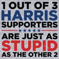 1 Out 3 Harris Supporters Are Just As Stupid As The Other 2 Women's Sweatshirt thumb 2