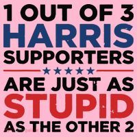 1 Out 3 Harris Supporters Are Just As Stupid As The Other 2 Coaster thumb 2