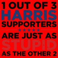 1 Out 3 Harris Supporters Are Just As Stupid As The Other 2 Santa Hat thumb 1