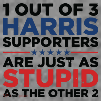 1 Out 3 Harris Supporters Are Just As Stupid As The Other 2 Toddler Hoodie thumb 2