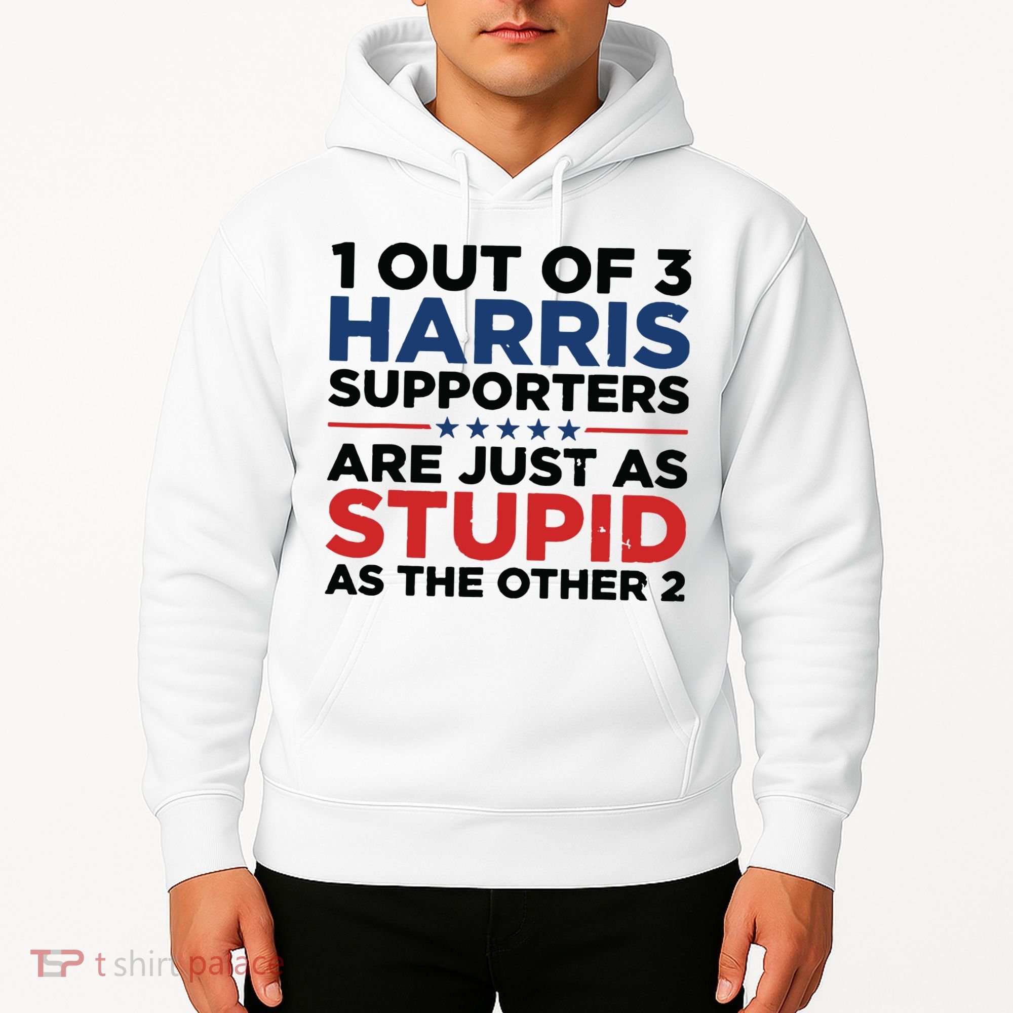 1 Out 3 Harris Supporters Are Just As Stupid As The Other 2 Hoodie