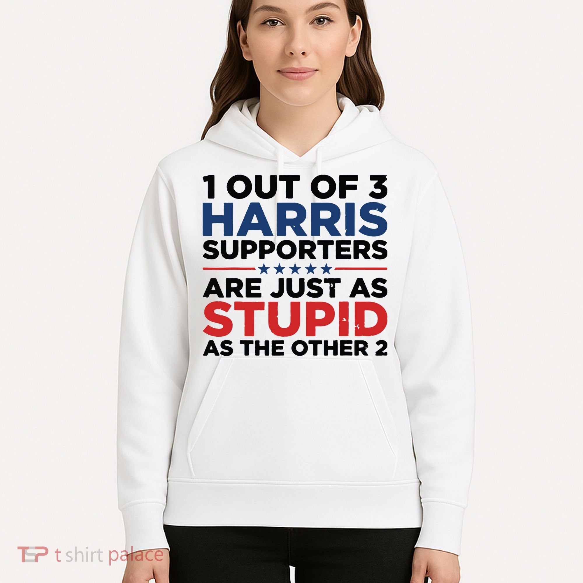 1 Out 3 Harris Supporters Are Just As Stupid As The Other 2 Hoodie
