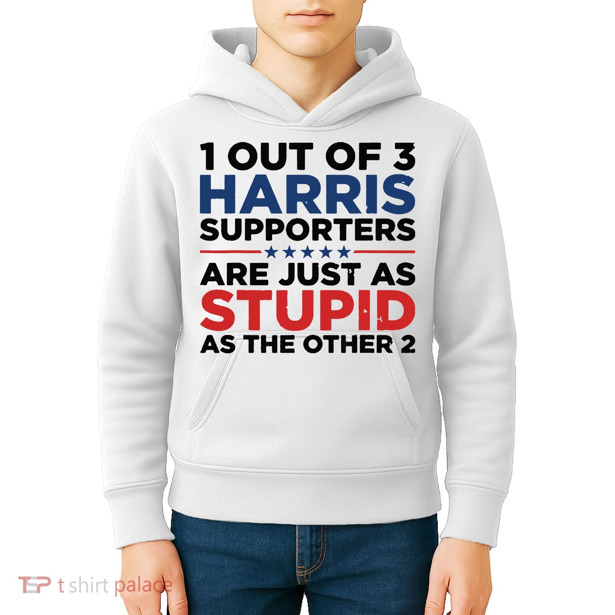 1 Out 3 Harris Supporters Are Just As Stupid As The Other 2 Kids Hoodie
