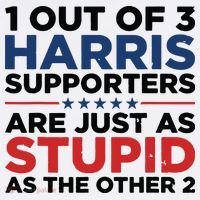 1 Out 3 Harris Supporters Are Just As Stupid As The Other 2 Kids Hoodie thumb 5