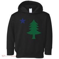 1901 Old First Flag Of Maine Pine Tree And Star Toddler Hoodie thumb 0