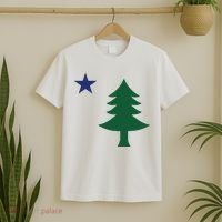 1901 Old First Flag Of Maine Pine Tree And Star T-Shirt thumb 2
