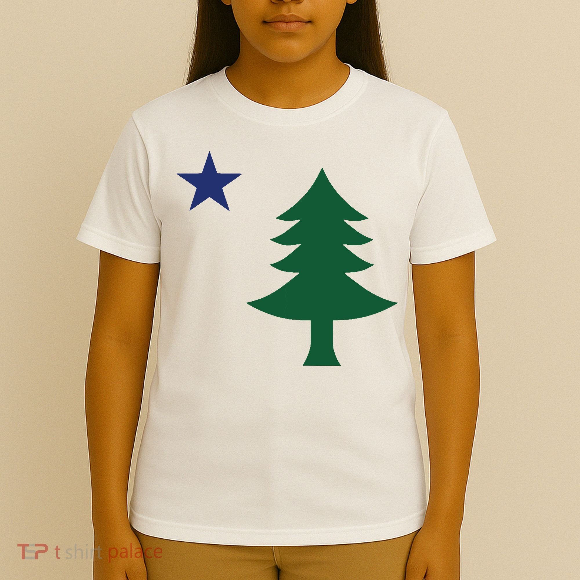 1901 Old First Flag Of Maine Pine Tree And Star T-Shirt