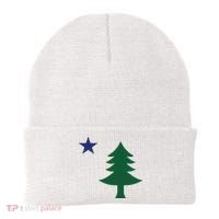 1901 Old First Flag Of Maine Pine Tree And Star Beanie thumb 0