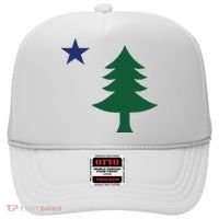 1901 Old First Flag Of Maine Pine Tree And Star Hat thumb 0