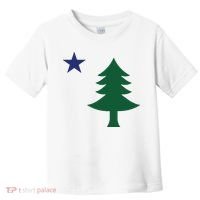 1901 Old First Flag Of Maine Pine Tree And Star Toddler T-Shirt thumb 0