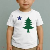 1901 Old First Flag Of Maine Pine Tree And Star Toddler T-Shirt thumb 2
