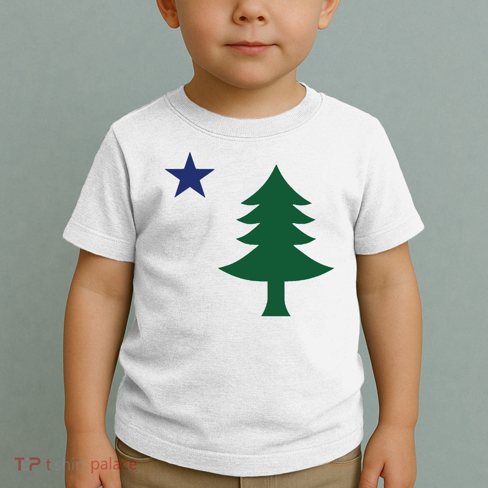 1901 Old First Flag Of Maine Pine Tree And Star Toddler T-Shirt