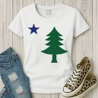 1901 Old First Flag Of Maine Pine Tree And Star Women's T-Shirt thumb 3