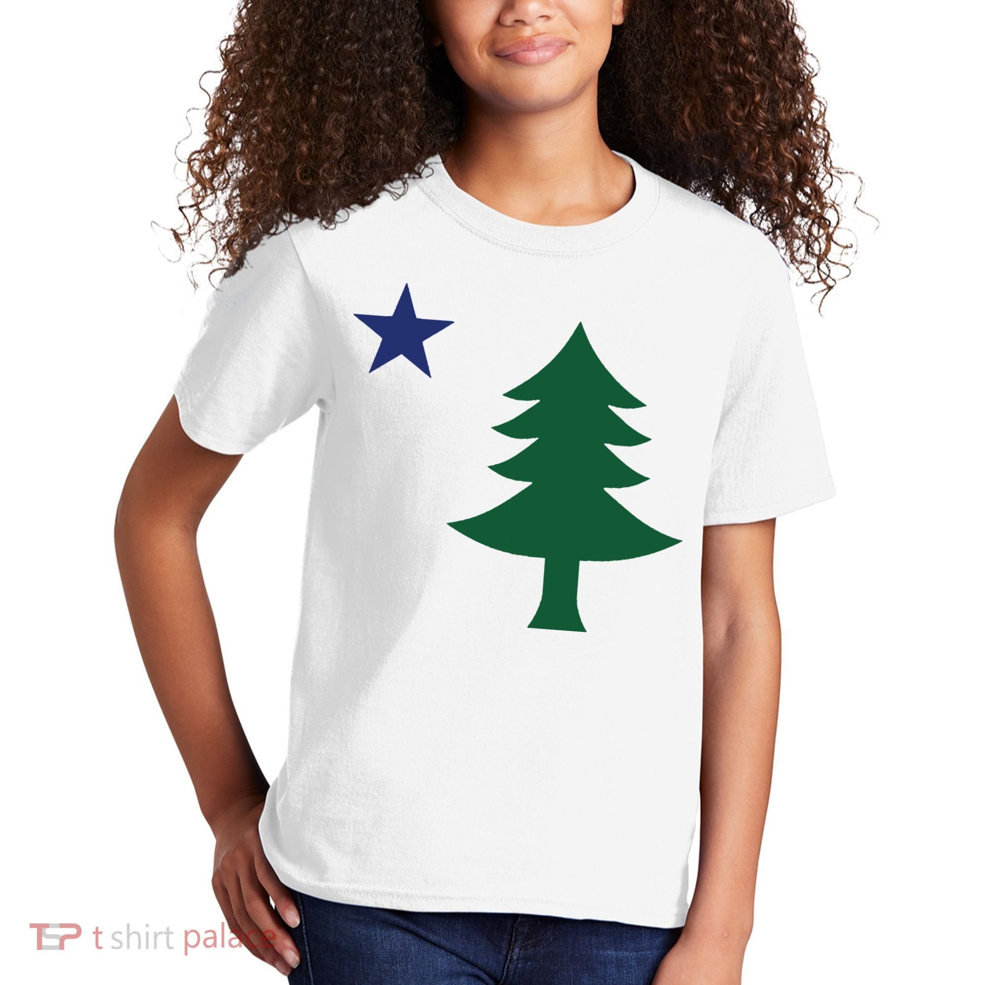 1901 Old First Flag Of Maine Pine Tree And Star Kids T-Shirt