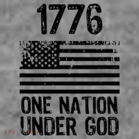 1776 One Nation Under God Patriotic Flag Toddler Hoodie thumb 2
