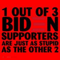 1 Out Of 3 Biden Supporters Are Just As Stupid Santa Hat thumb 1