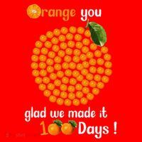 100 Oranges You Glad We Made It 100 Days Santa Hat thumb 1