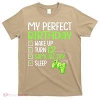 12th Perfect Birthday Boys Gaming 12 Years Old Gifts Gamer T-Shirt thumb 0