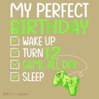 12th Perfect Birthday Boys Gaming 12 Years Old Gifts Gamer T-Shirt thumb 7