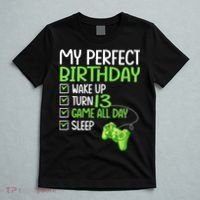 13th Perfect Birthday Boys Gaming 13 Years Old Gifts Gamer TShirt T-Shirt thumb 5