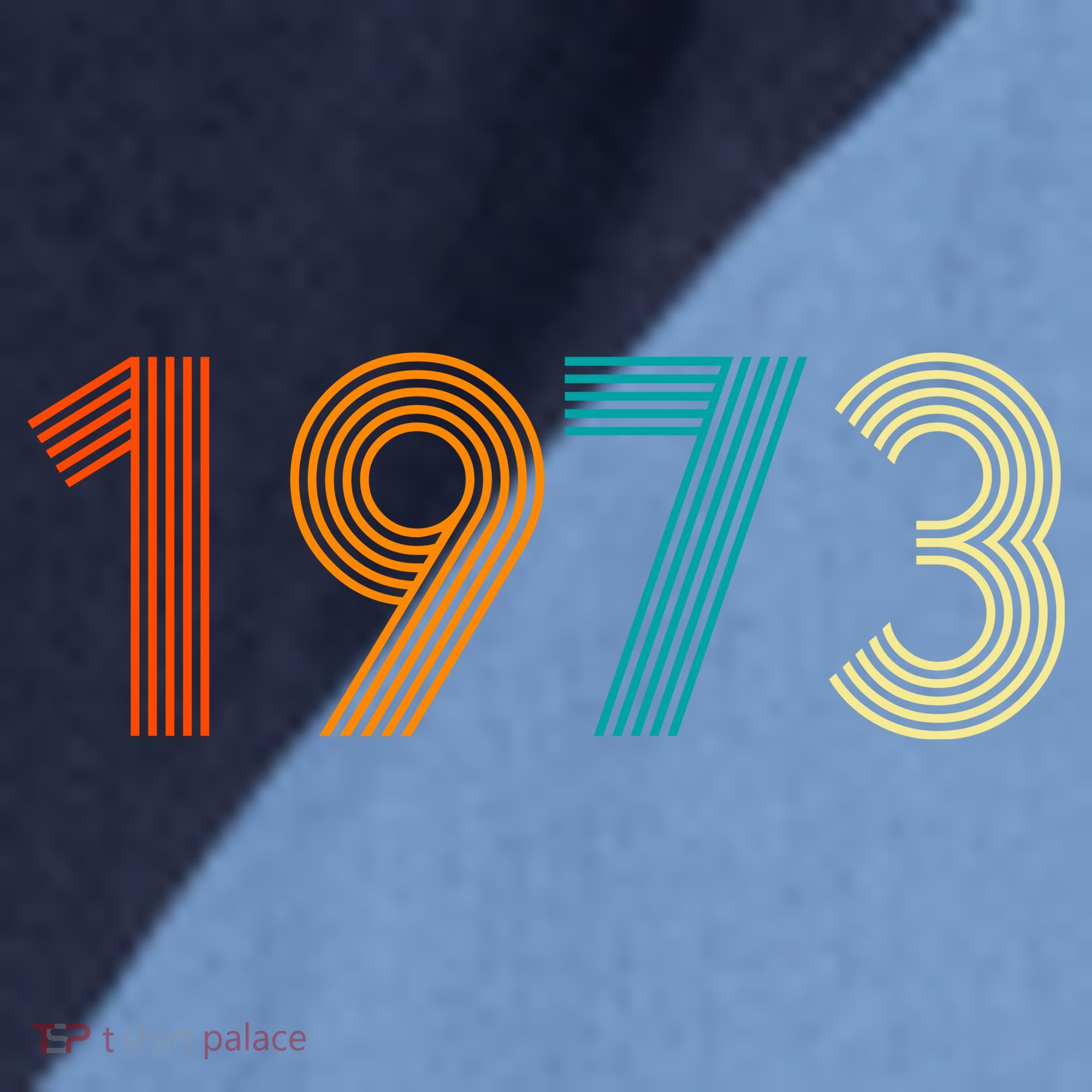 1973 Roe V Wade Raglan Baseball Sleeve Shirt