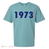1973 Support Roe V Wade Pro Choice Pro Roe Women's Rights Sueded Cloud Jersey T-Shirt thumb 0