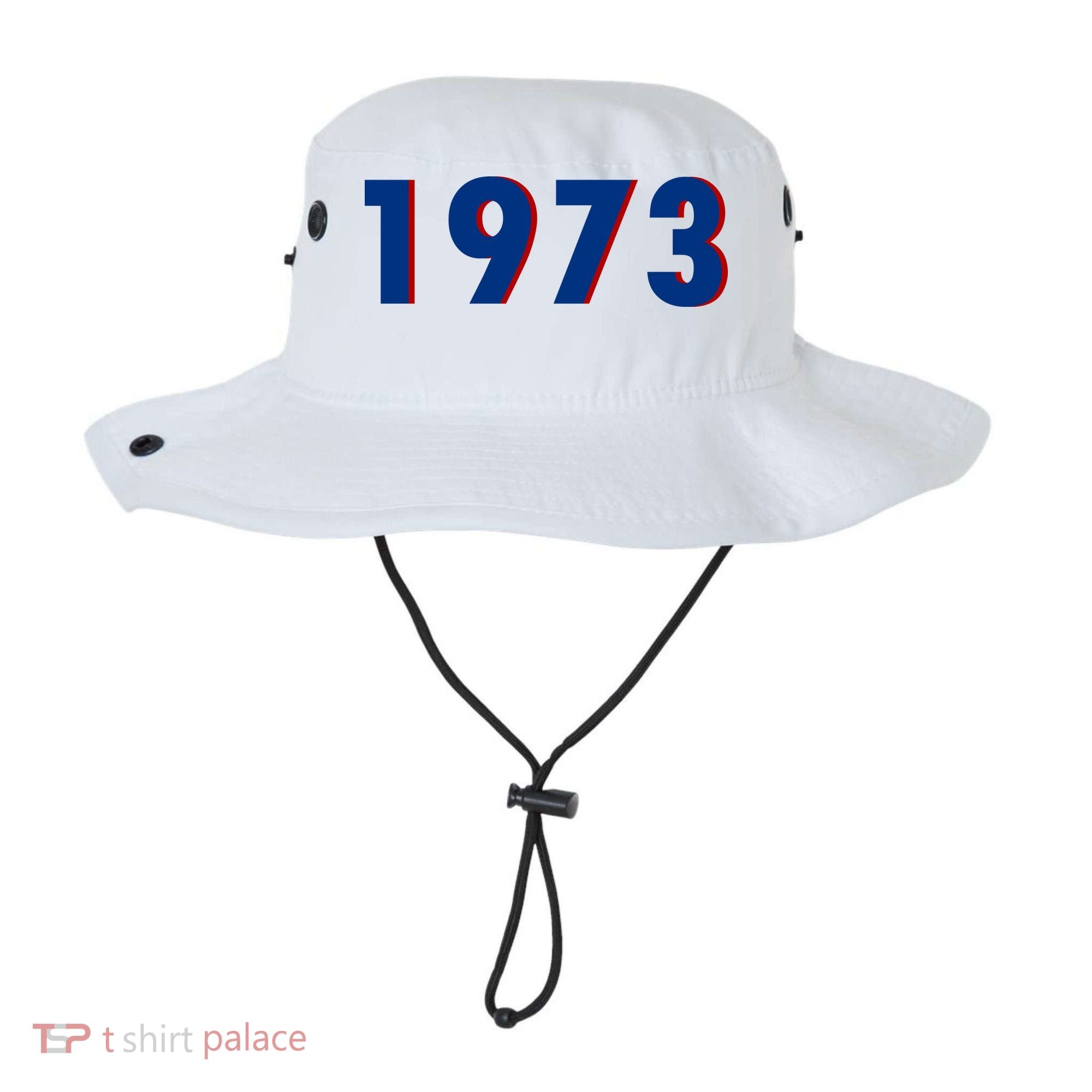 1973 Support Roe V Wade Pro Choice Pro Roe Women's Rights Bucket Hat