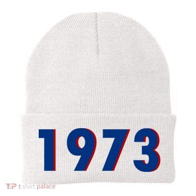 1973 Support Roe V Wade Pro Choice Pro Roe Women's Rights Beanie