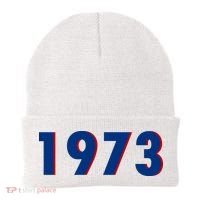 1973 Support Roe V Wade Pro Choice Pro Roe Women's Rights Beanie thumb 0