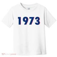 1973 Support Roe V Wade Pro Choice Pro Roe Women's Rights Toddler T-Shirt thumb 0