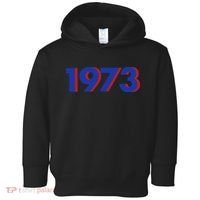 1973 Shirt 1973 Support Roe V Wade, Pro Choice, Protect Roe V Wade, Abortion Rights Are Human Rights Toddler Hoodie thumb 0