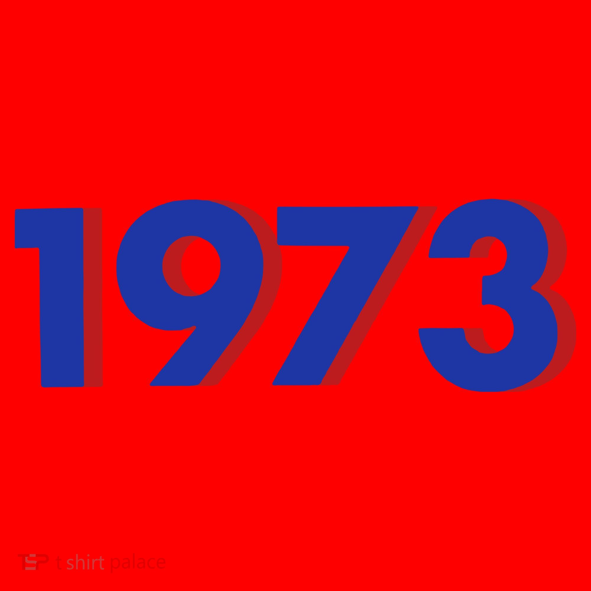 1973 Shirt 1973 Support Roe V Wade, Pro Choice, Protect Roe V Wade, Abortion Rights Are Human Rights Santa Hat