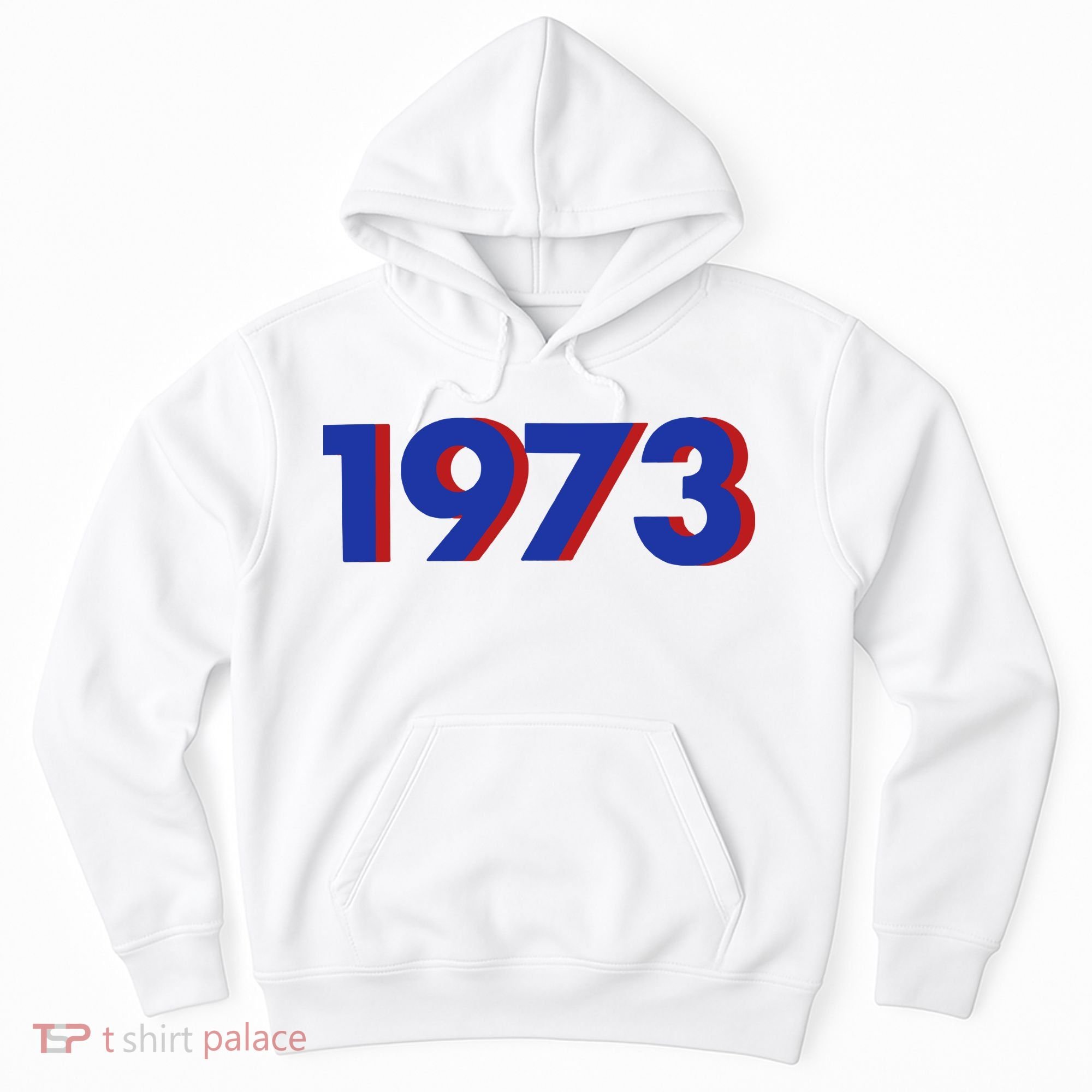 1973 Shirt 1973 Support Roe V Wade, Pro Choice, Protect Roe V Wade, Abortion Rights Are Human Rights Hoodie