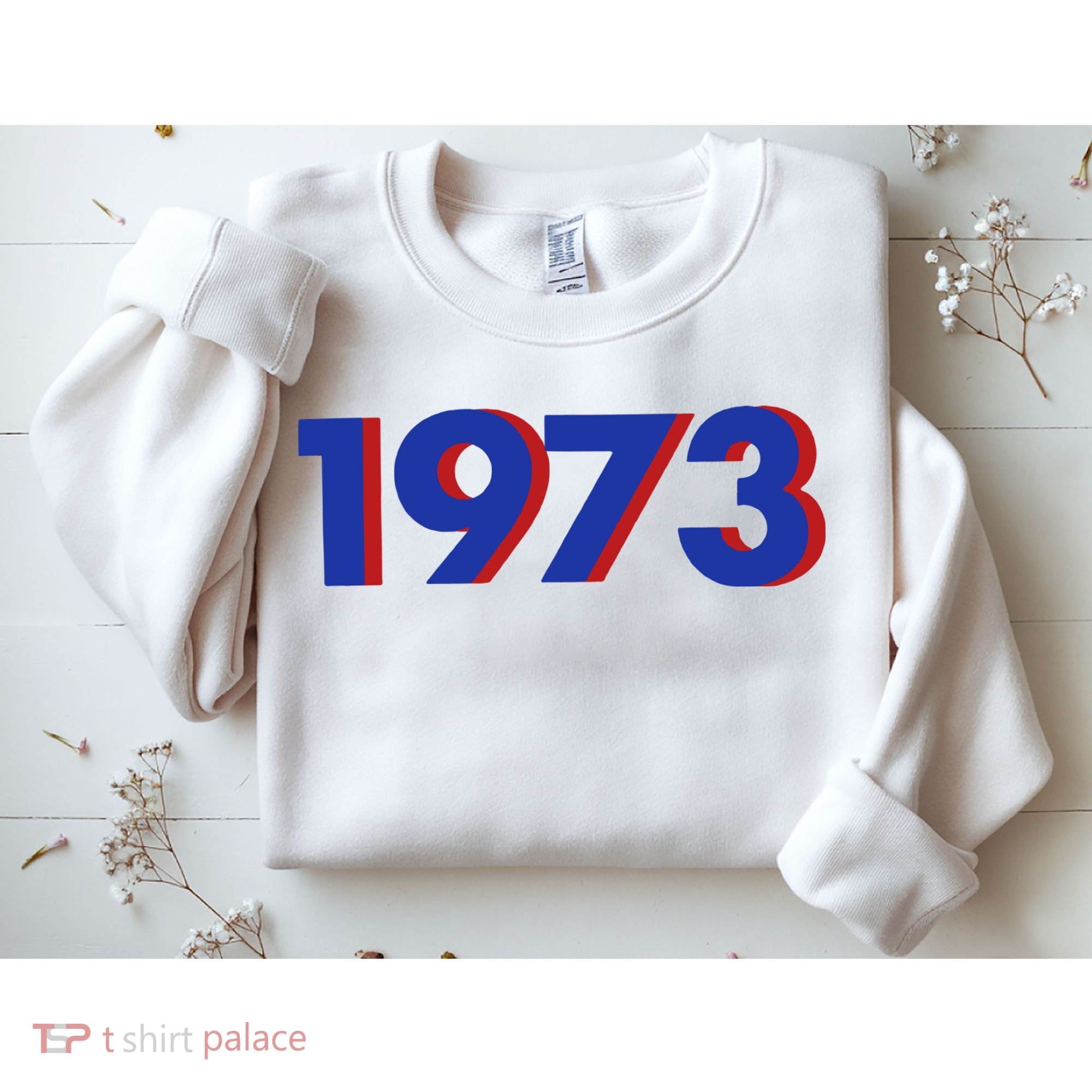 1973 Shirt 1973 Support Roe V Wade, Pro Choice, Protect Roe V Wade, Abortion Rights Are Human Rights Sweatshirt