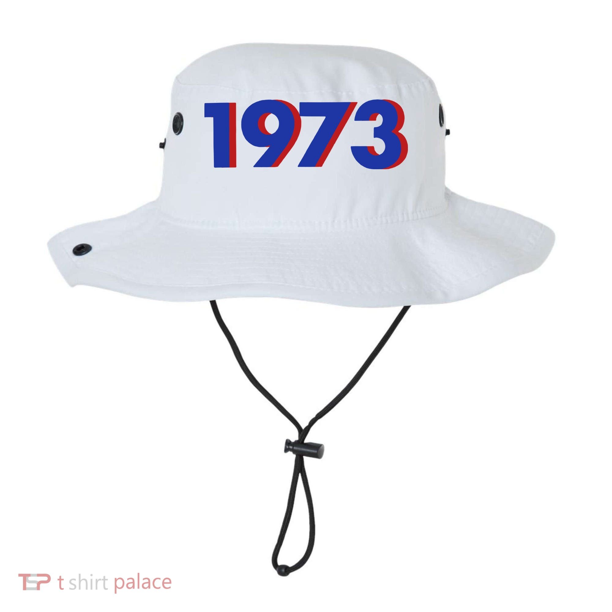 1973 Shirt 1973 Support Roe V Wade, Pro Choice, Protect Roe V Wade, Abortion Rights Are Human Rights Bucket Hat