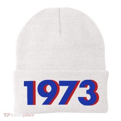 1973 Shirt 1973 Support Roe V Wade, Pro Choice, Protect Roe V Wade, Abortion Rights Are Human Rights Beanie