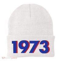 1973 Shirt 1973 Support Roe V Wade, Pro Choice, Protect Roe V Wade, Abortion Rights Are Human Rights Beanie thumb 0