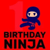 1st Birthday Ninja  Santa Hat thumb 1