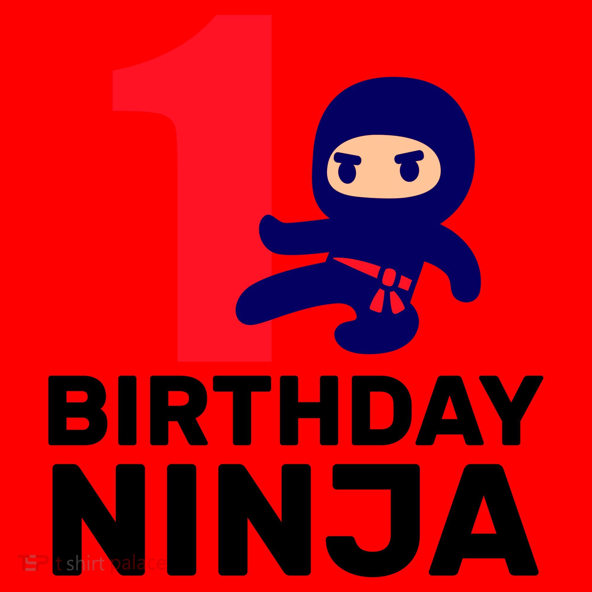 1st Birthday Ninja  Santa Hat