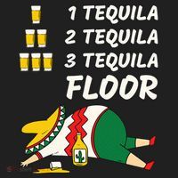 1 Tequila 2 Tequila 3 Tequila Floor Funny Party Drinking Hat thumb 2