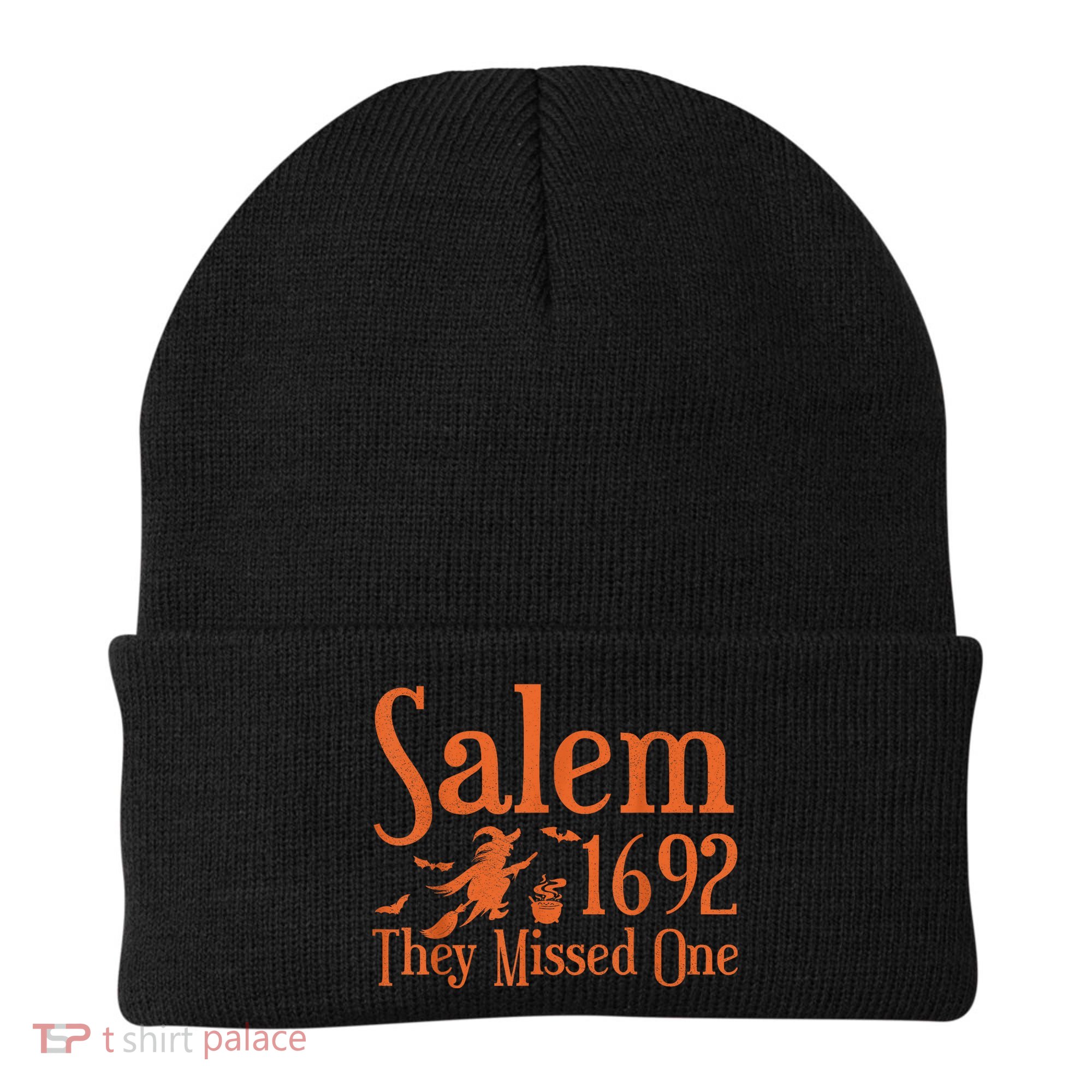 1692 They Missed One Salem Wo Halloween Distressed Beanie