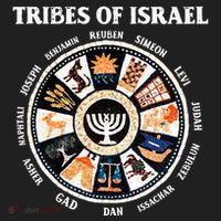 12 Twelve Tribes Of Israel Hebrew Israelite Judah Jerusalem Hat thumb 2