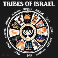 12 Twelve Tribes Of Israel Hebrew Israelite Judah Jerusalem Sweatshirt thumb 3