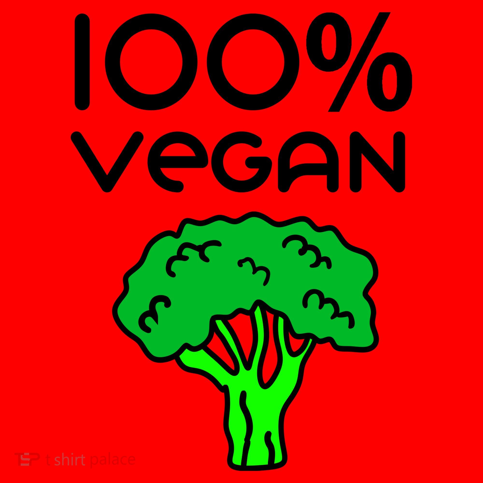 100 % Vegan Santa Hat