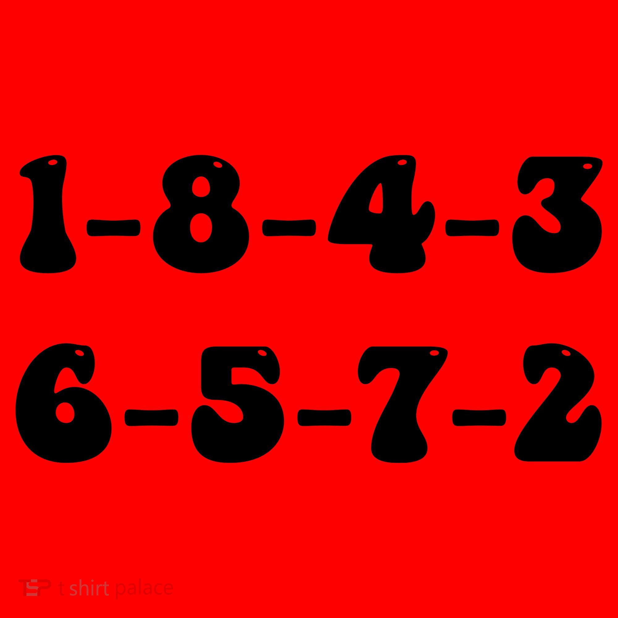 18436572 V8 Engine Firing Order Santa Hat