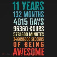 11 Years 132 Months Of Being Awesome 11th Birthday Gifts T-Shirt thumb 7