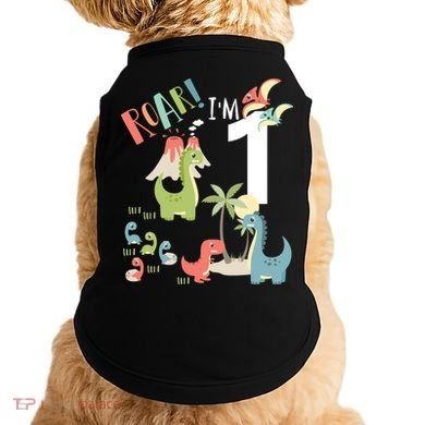 1 Year Old Roar Im 1 1st Birthday Boy T Rex Dinosaur Doggie Tank